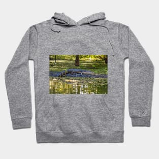 Resting Alligator in the Swamp Hoodie